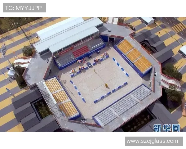 武汉排球队的实力分析与未来发展展望探讨